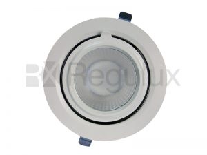 DLT36 Circular LED WallWasher Retail 36w